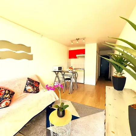 Appartement Le Pont Neuf Annecy